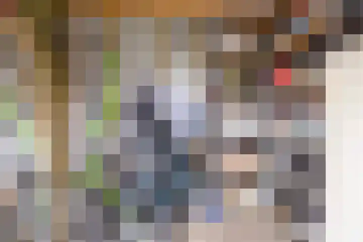 Oltmanshof 4 Barneveld thumbnail 29