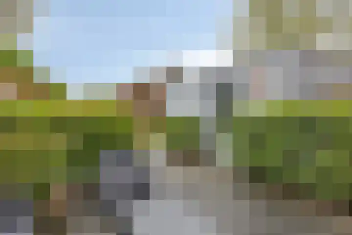Oltmanshof 4 Barneveld thumbnail 31