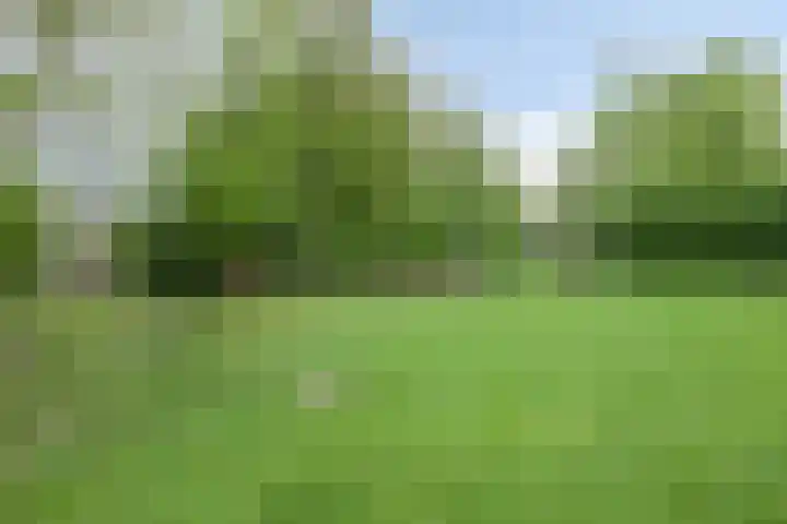 Oltmanshof 4 Barneveld thumbnail 32
