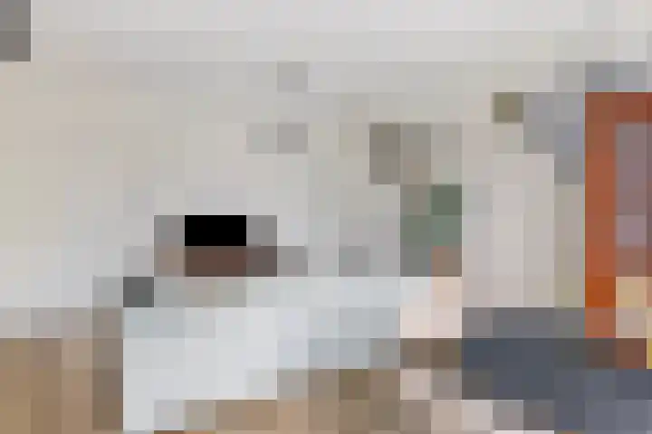 Oltmanshof 4 Barneveld thumbnail 9