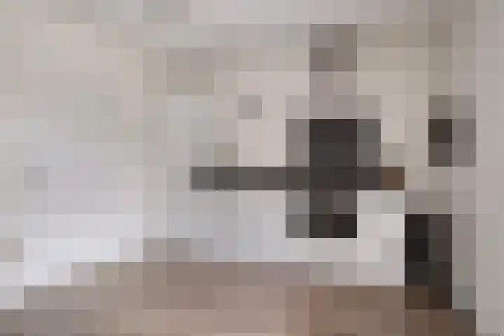 Oltmanshof 6 Barneveld thumbnail 10