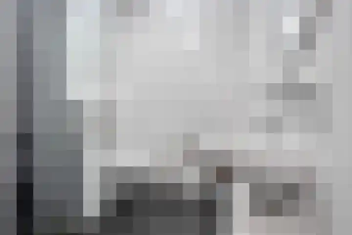 Oltmanshof 6 Barneveld thumbnail 17