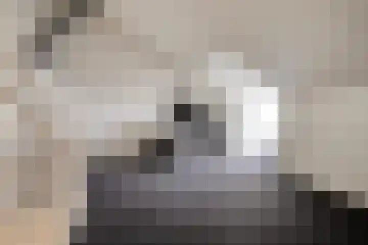 Oltmanshof 6 Barneveld thumbnail 19