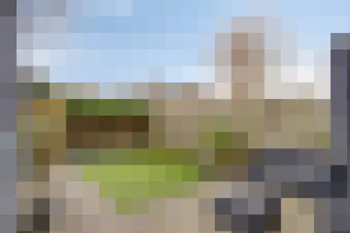 Oltmanshof 6 Barneveld thumbnail 22