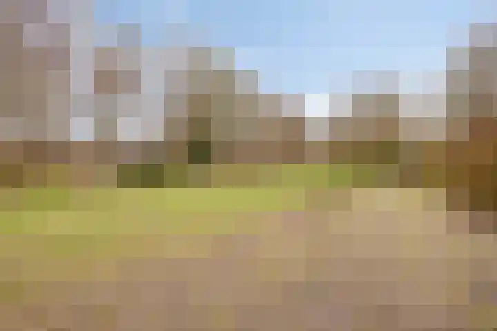 Oltmanshof 6 Barneveld thumbnail 25