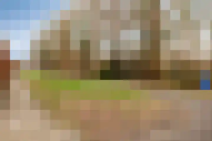 Oltmanshof 6 Barneveld thumbnail 26