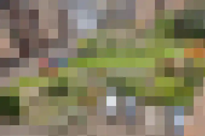 Oltmansstraat 100 Enschede thumbnail 30