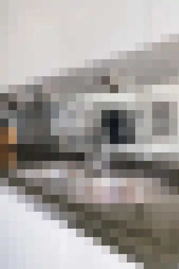 Oltmansstraat 17 Bergschenhoek thumbnail 14