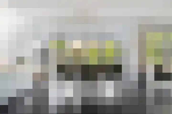 Oltmansstraat 17 Bergschenhoek thumbnail 17