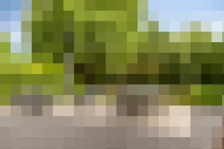 Oltmansstraat 17 Bergschenhoek thumbnail 37