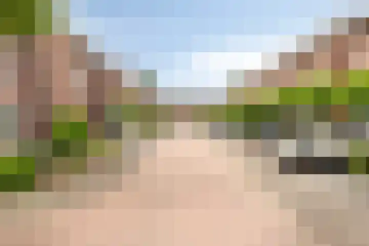 Oltmansstraat 17 Bergschenhoek thumbnail 4