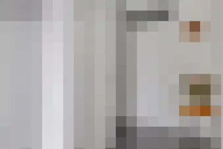 Oltmansstraat 17 Bergschenhoek thumbnail 9
