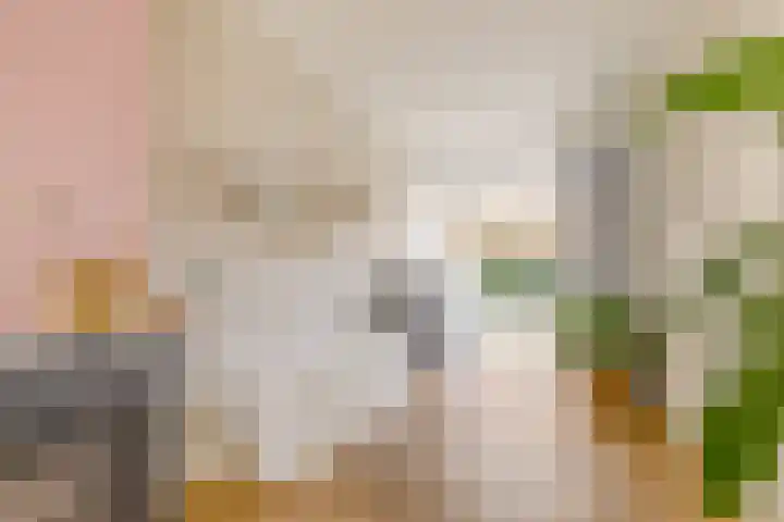 Oltmansstraat 2 Utrecht thumbnail 10