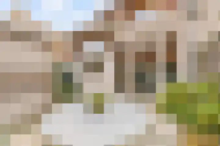 Oltmansstraat 2 Utrecht thumbnail 20