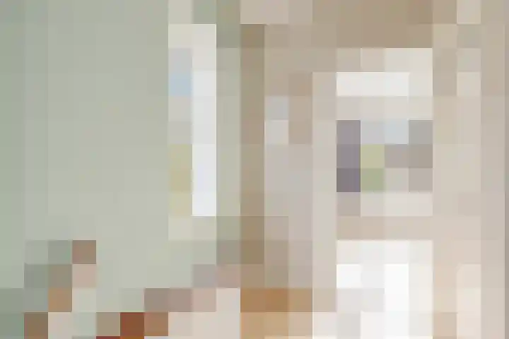 Oltmansstraat 2 Utrecht thumbnail 22