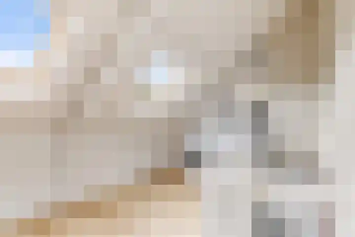 Oltmansstraat 2 Utrecht thumbnail 31