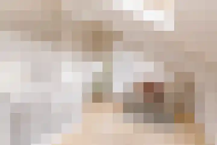 Oltmansstraat 2 Utrecht thumbnail 32