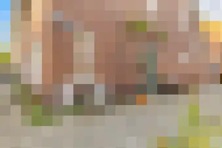 Oltmansstraat 2 Utrecht thumbnail 37