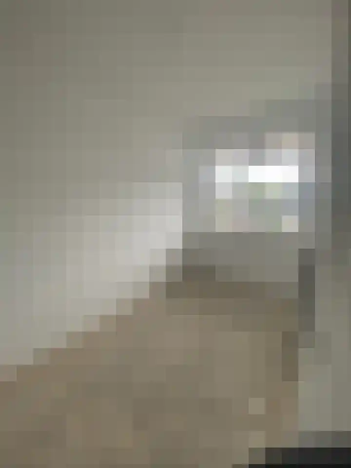 Oltmansstraat 21 Papendrecht thumbnail 11