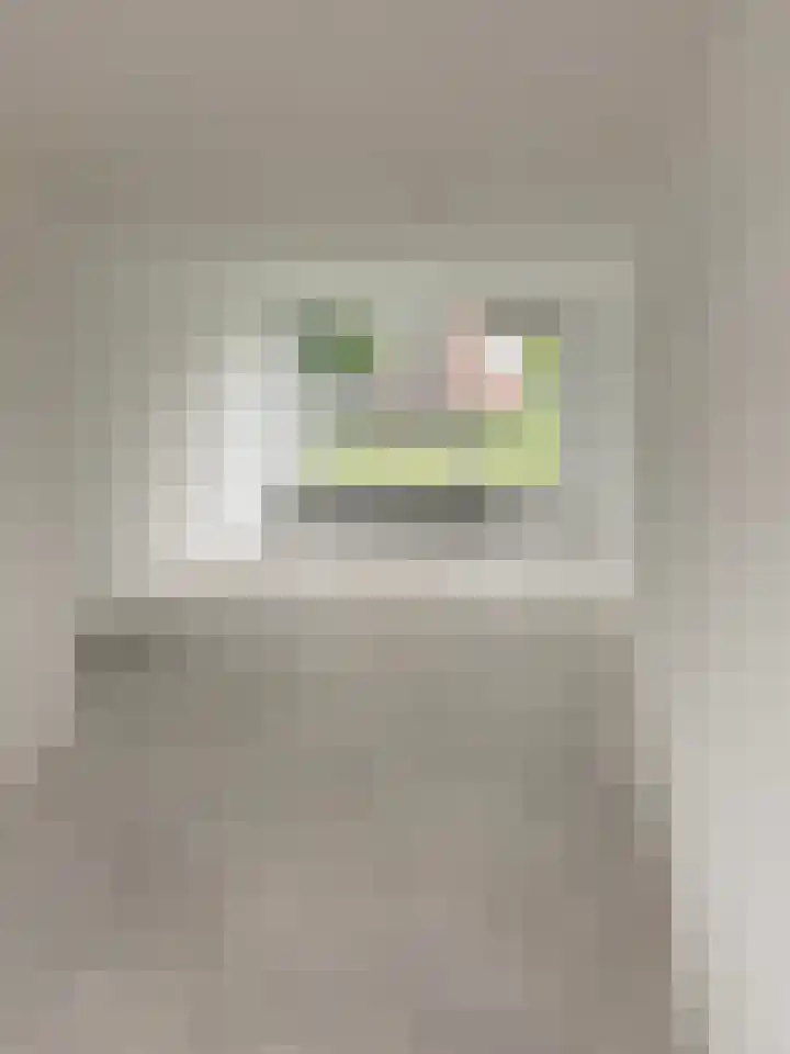 Oltmansstraat 21 Papendrecht thumbnail 4