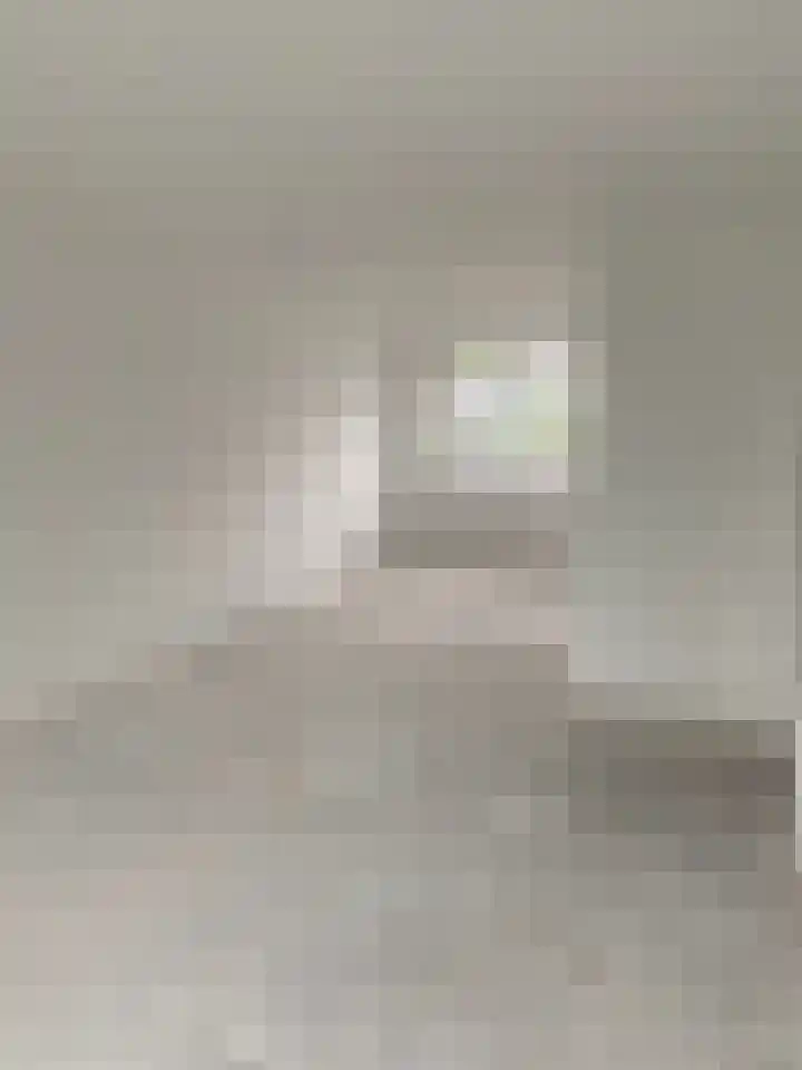 Oltmansstraat 21 Papendrecht thumbnail 5