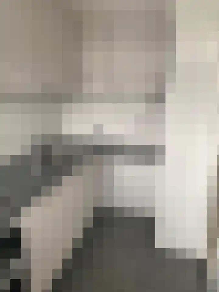 Oltmansstraat 21 Papendrecht thumbnail 7