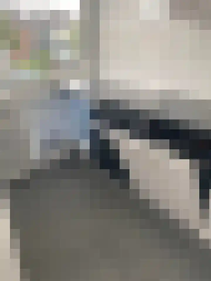 Oltmansstraat 21 Papendrecht thumbnail 8