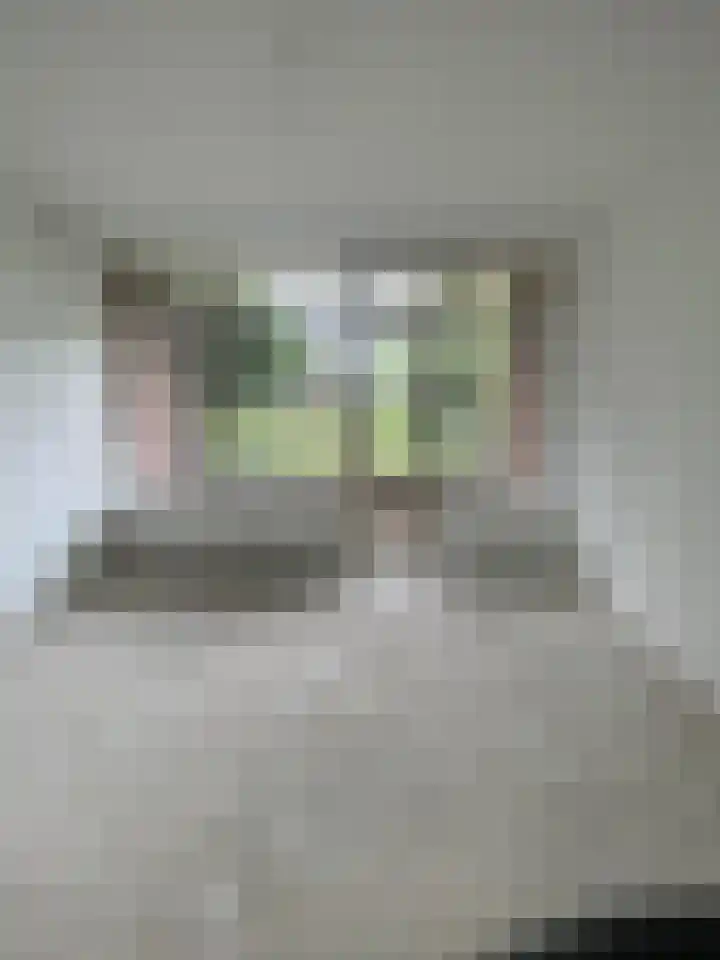 Oltmansstraat 21 Papendrecht thumbnail 9