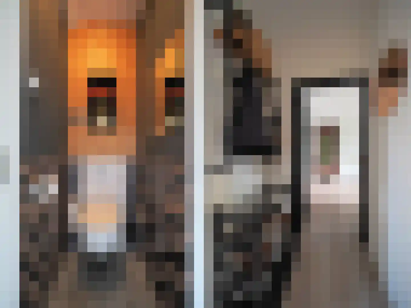 Oltmansstraat 39 Papendrecht thumbnail 13