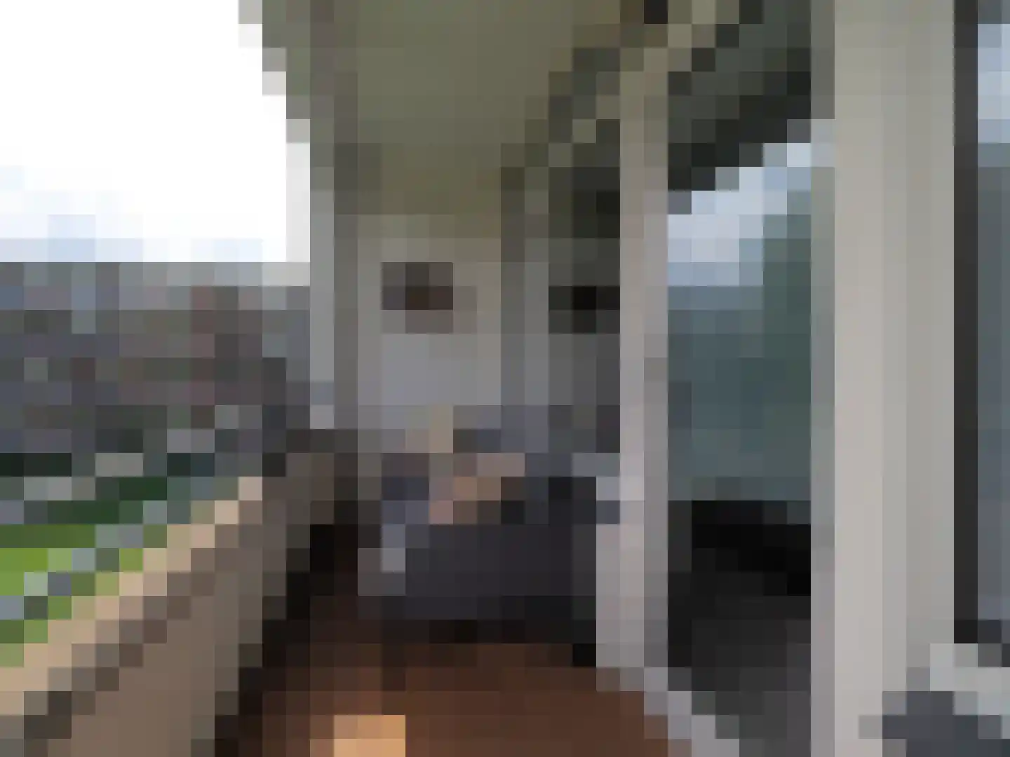 Oltmansstraat 39 Papendrecht thumbnail 33