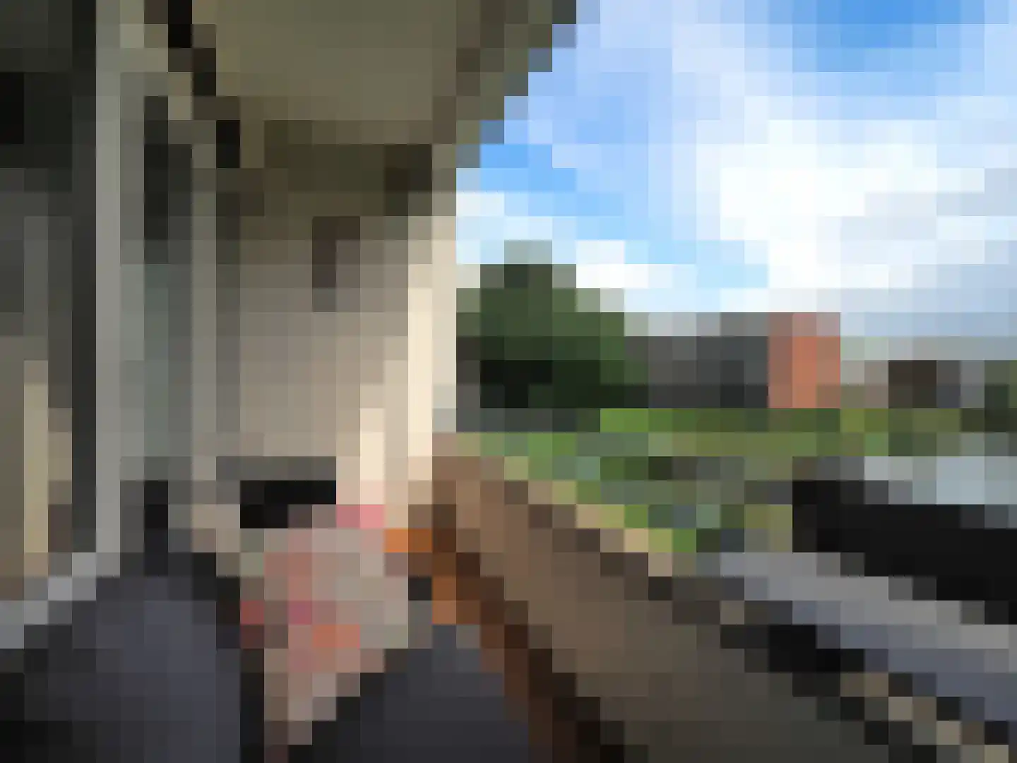 Oltmansstraat 39 Papendrecht thumbnail 34
