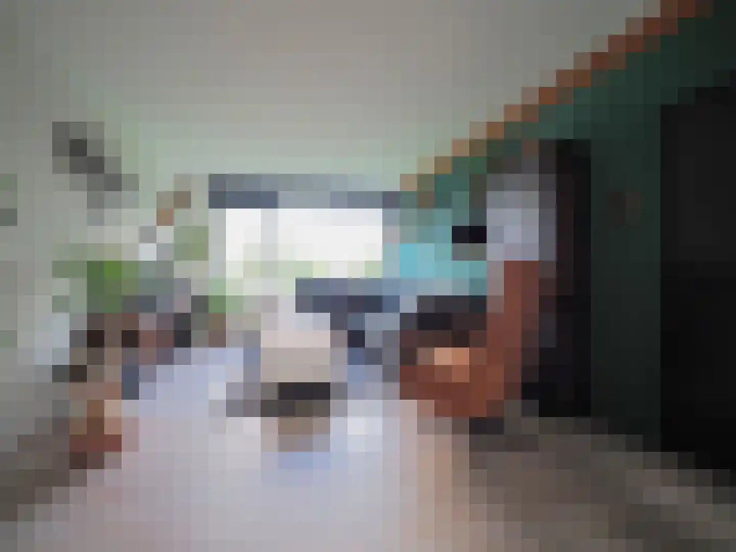 Oltmansstraat 39 Papendrecht thumbnail 4