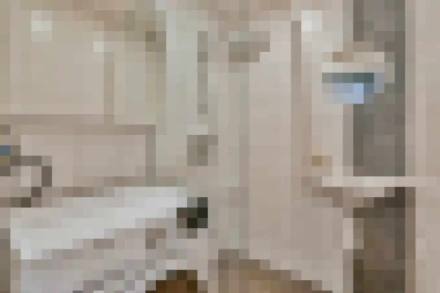 Oltmansstraat 43 Papendrecht thumbnail 13