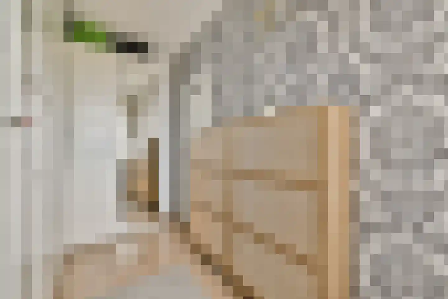 Oltmansstraat 43 Papendrecht thumbnail 16