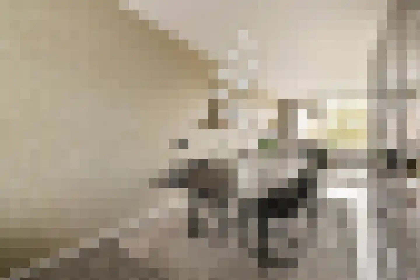 Oltmansstraat 43 Papendrecht thumbnail 8