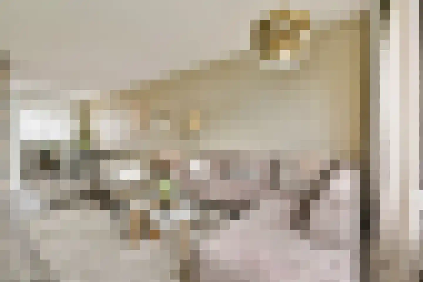 Oltmansstraat 43 Papendrecht thumbnail 9