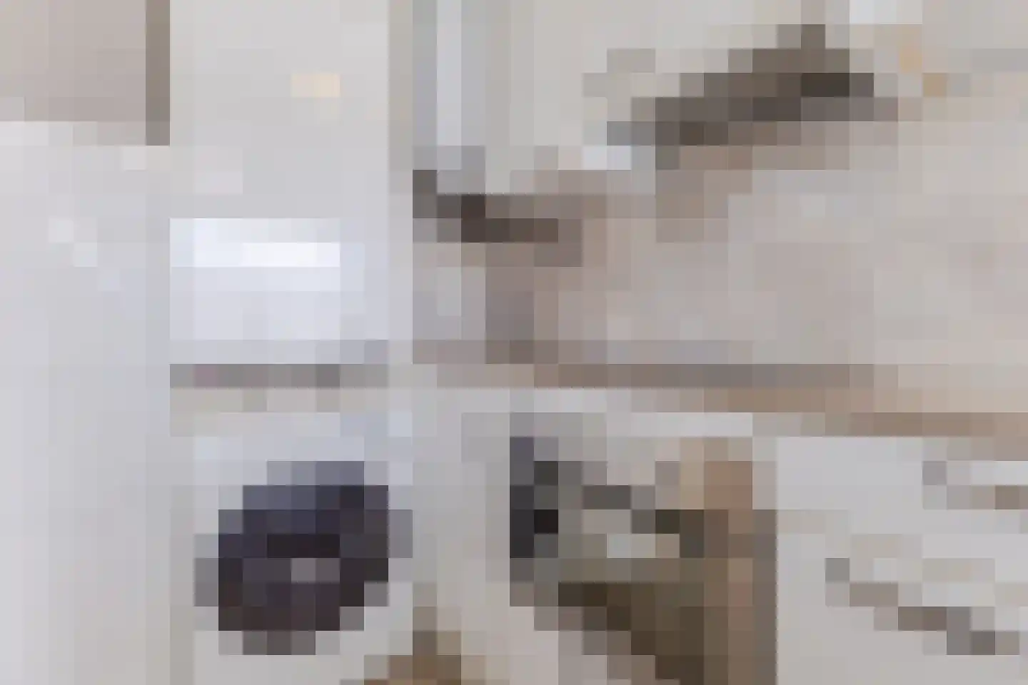 Oltmansstraat 47 Papendrecht thumbnail 13