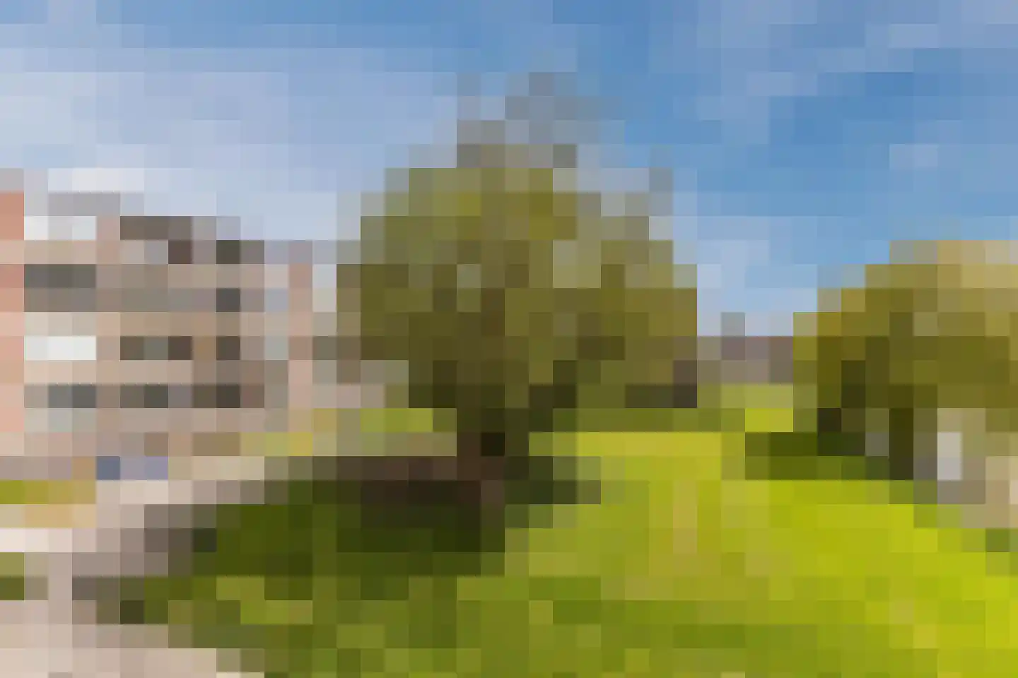 Oltmansstraat 47 Papendrecht thumbnail 30