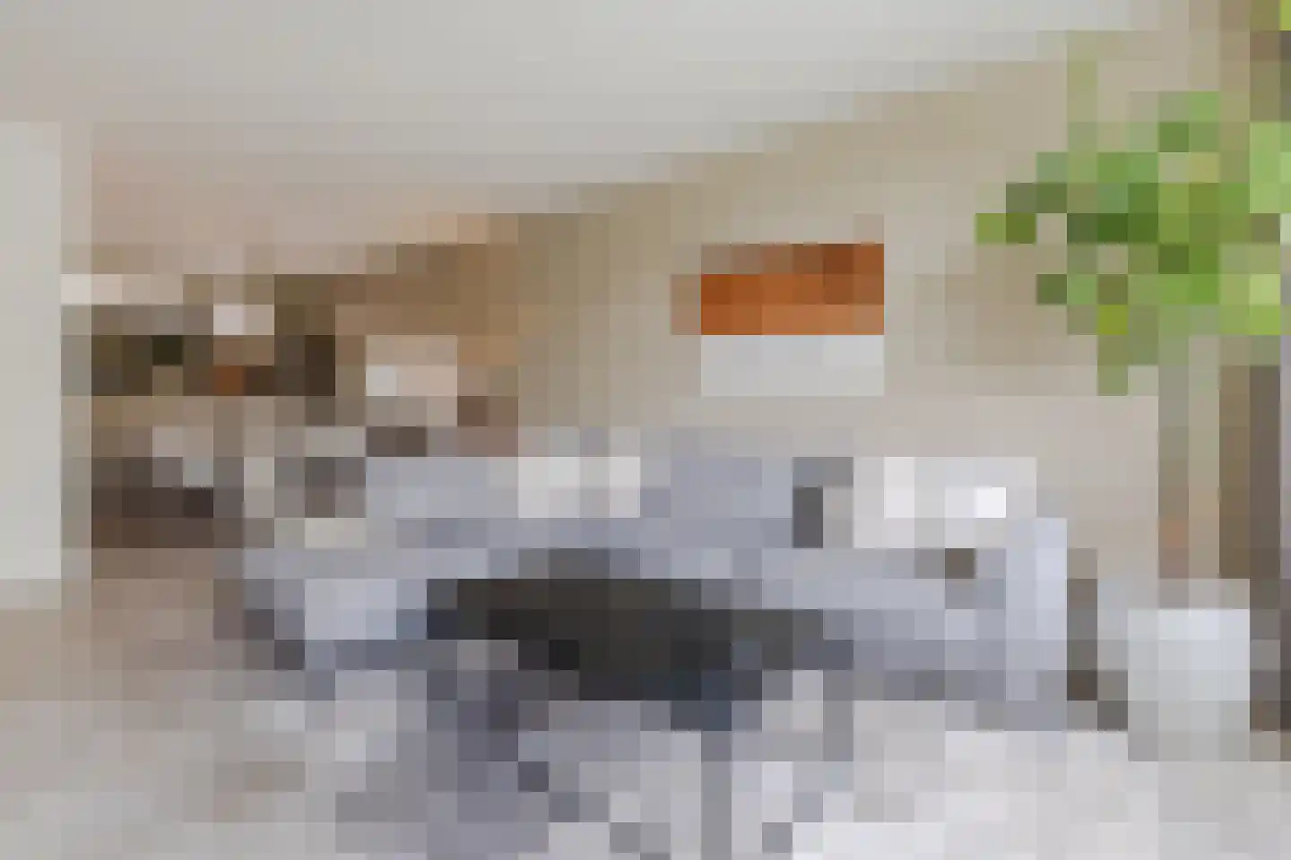 Oltmansstraat 47 Papendrecht thumbnail 4
