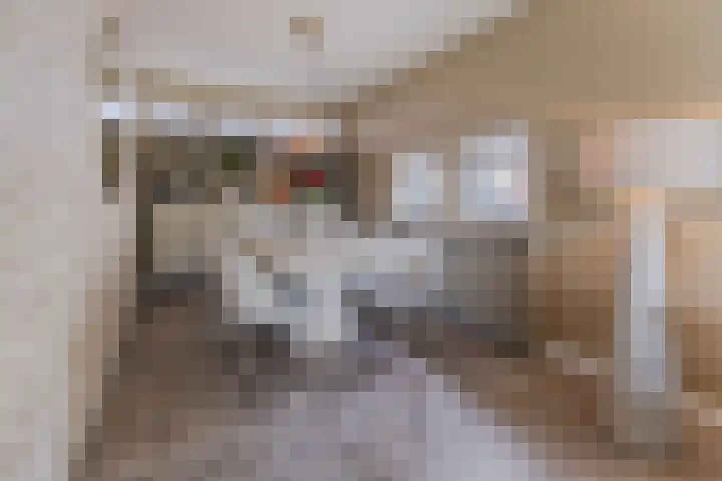 Oltmansstraat 47 Papendrecht thumbnail 7
