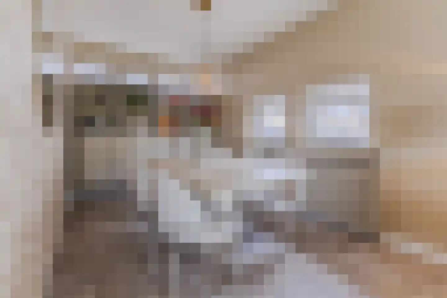 Oltmansstraat 47 Papendrecht thumbnail 8