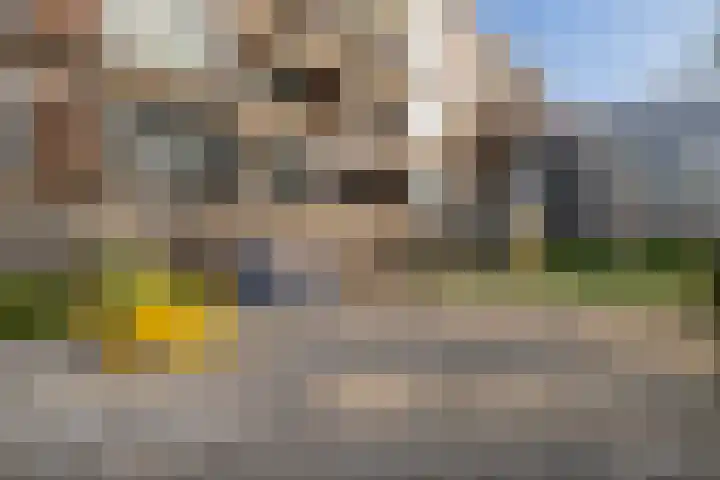 Oltmansstraat 61 Papendrecht thumbnail 35