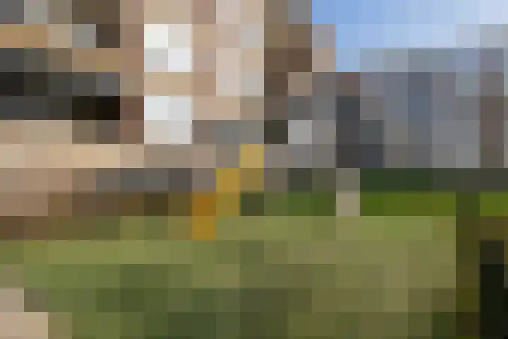 Oltmansstraat 61 Papendrecht thumbnail 36