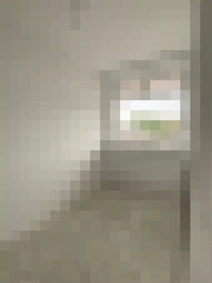 Oltmansstraat 69 Papendrecht thumbnail 14
