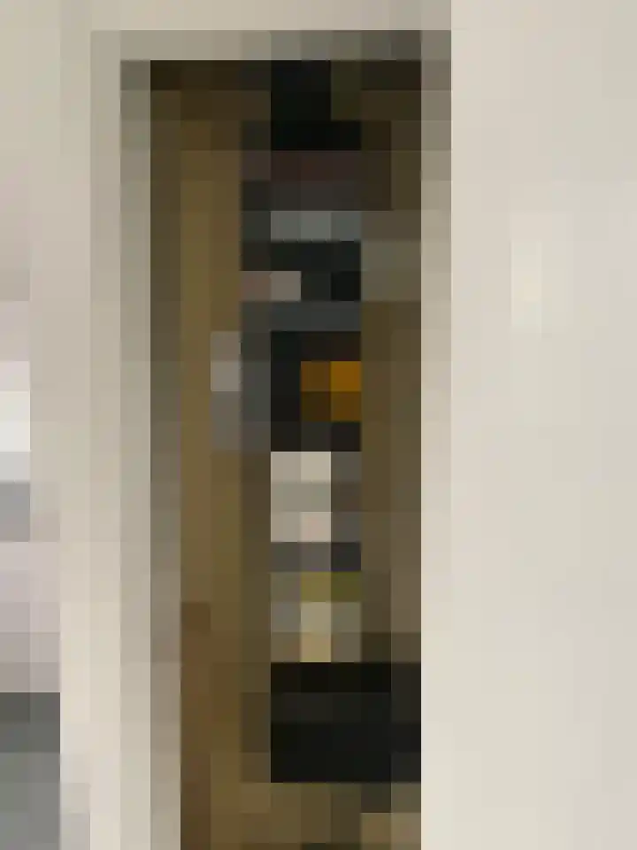 Oltmansstraat 69 Papendrecht thumbnail 15