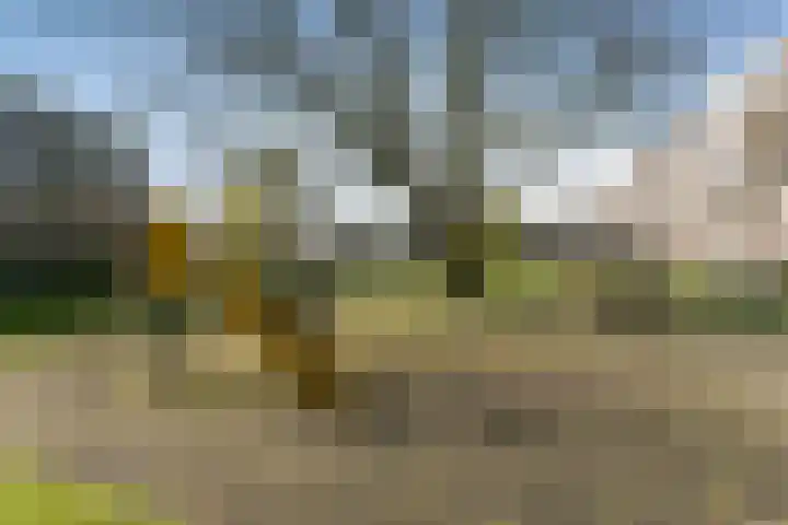 Oltmansstraat 69 Papendrecht thumbnail 17