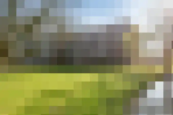 Oltmansstraat 69 Papendrecht thumbnail 4