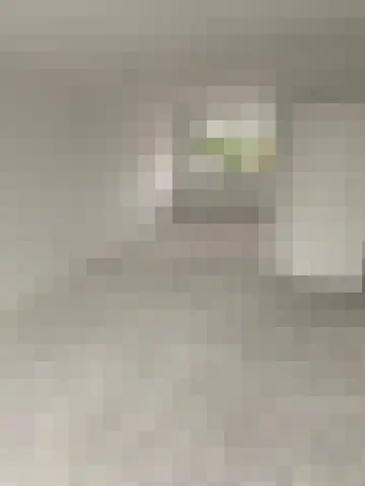 Oltmansstraat 69 Papendrecht thumbnail 6