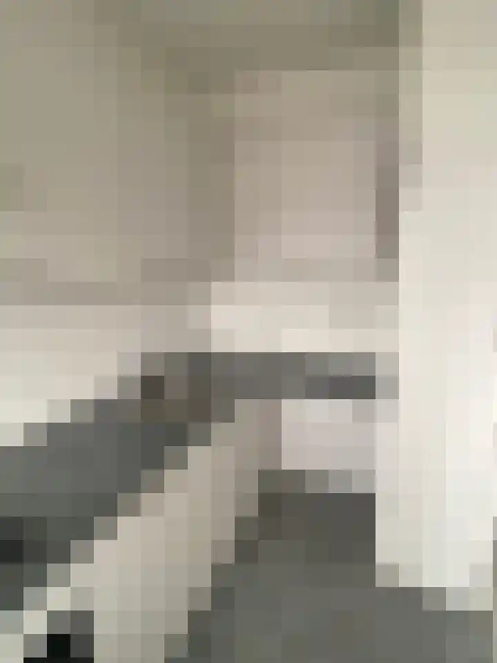 Oltmansstraat 69 Papendrecht thumbnail 9