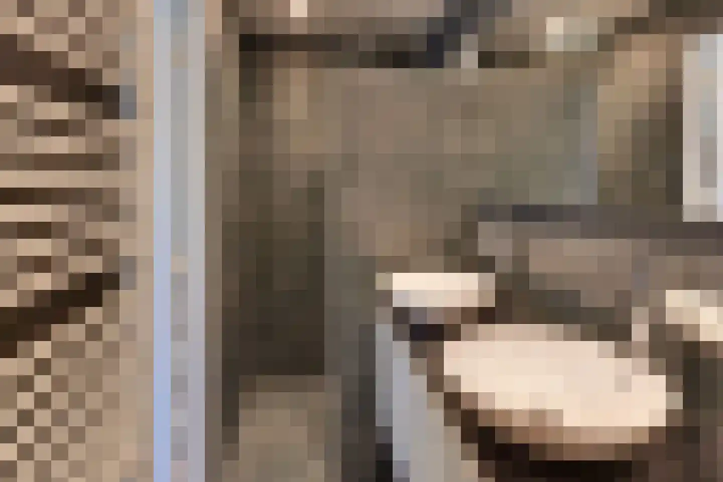 Oltmansstraat 7 Harderwijk thumbnail 37